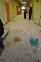 Vandalen im AfE