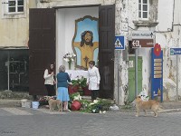 Montemor-o-Novo/Évora 