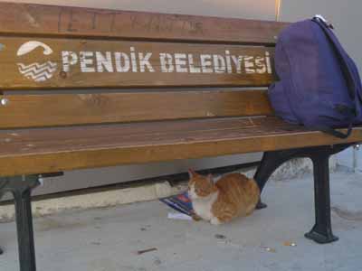 Pendik Sabiha Gökçen