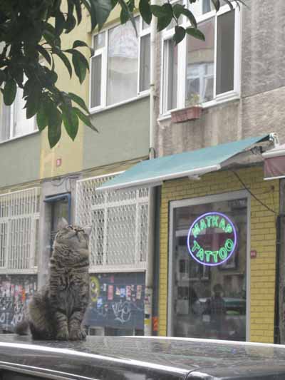 Kadoköy