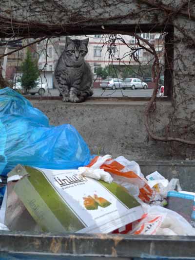 Kadoköy