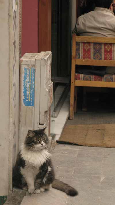 Kadoköy