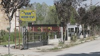 Van