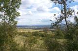 Buchenwald
