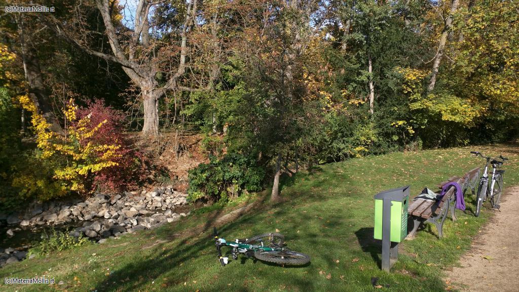 Ausflug Nidda(20201022)