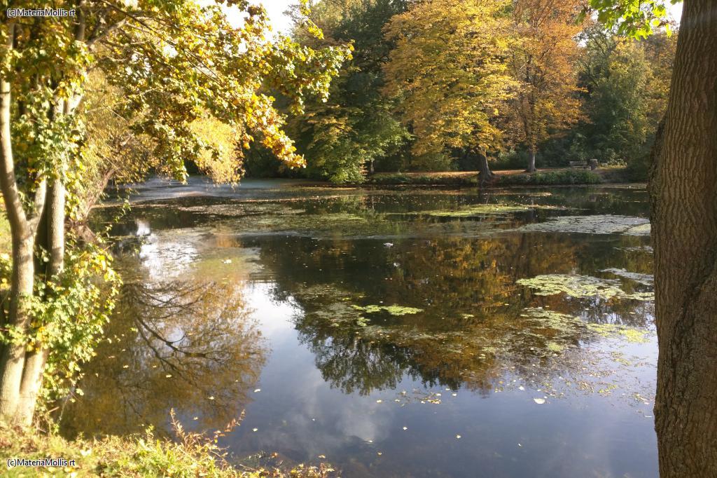 Ausflug Nidda(20201022)