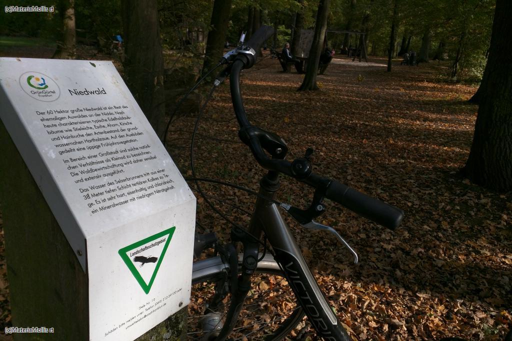 Ausflug Nidda(20201022)