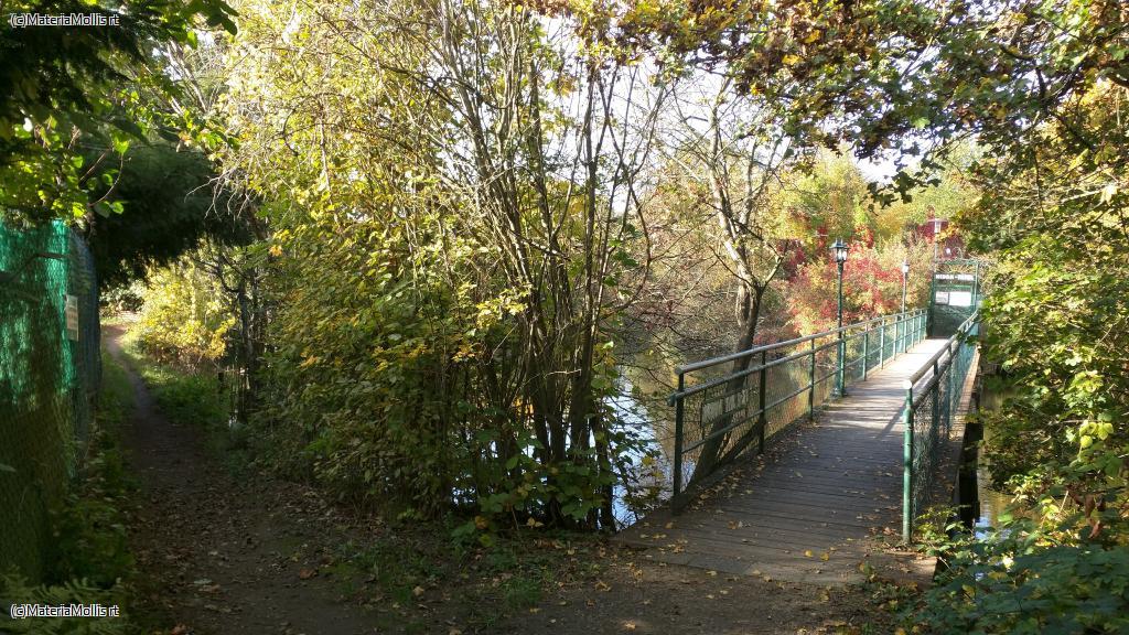 Ausflug Nidda(20201022)