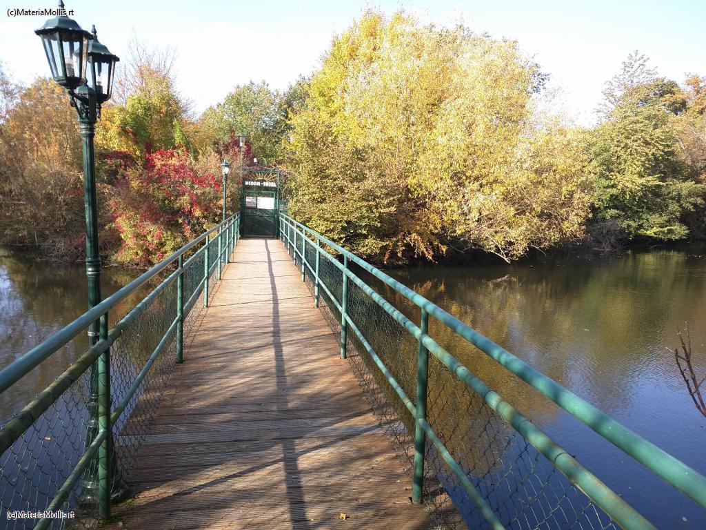 Ausflug Nidda(20201022)