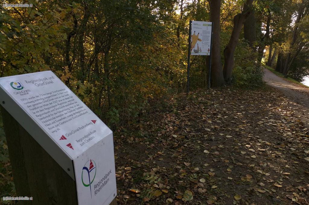 Ausflug Nidda(20201022)