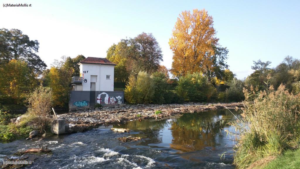 Ausflug Nidda(20201022)