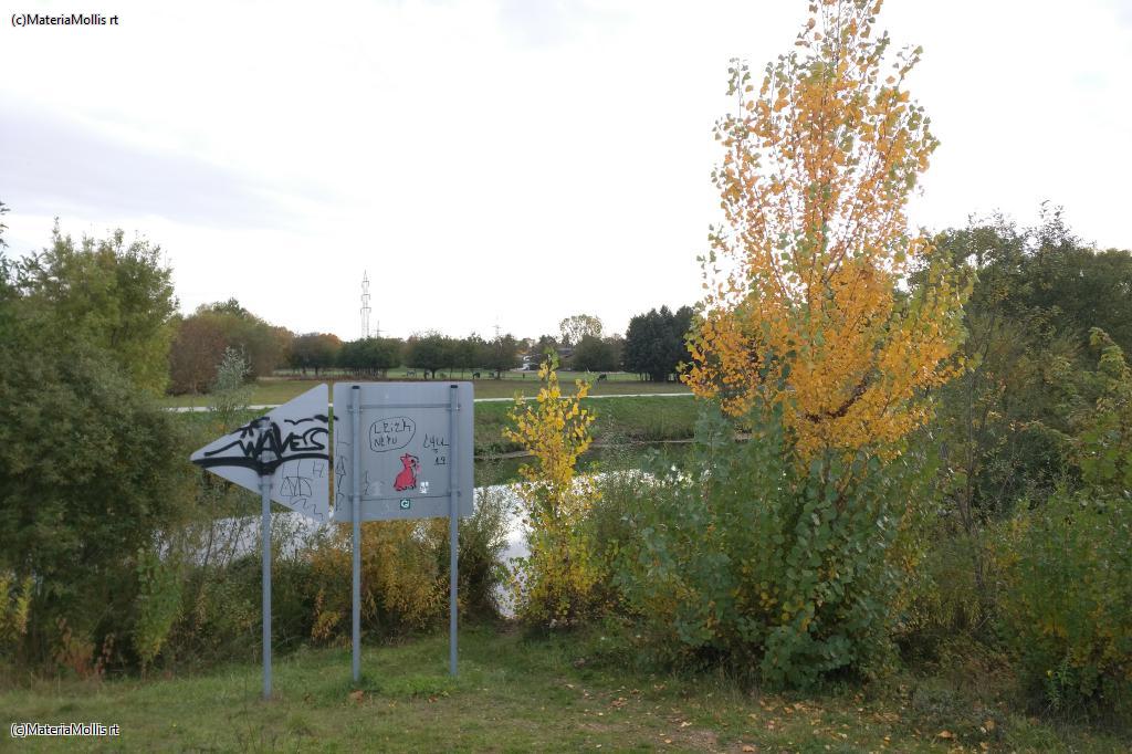 Ausflug Nidda(20201022)
