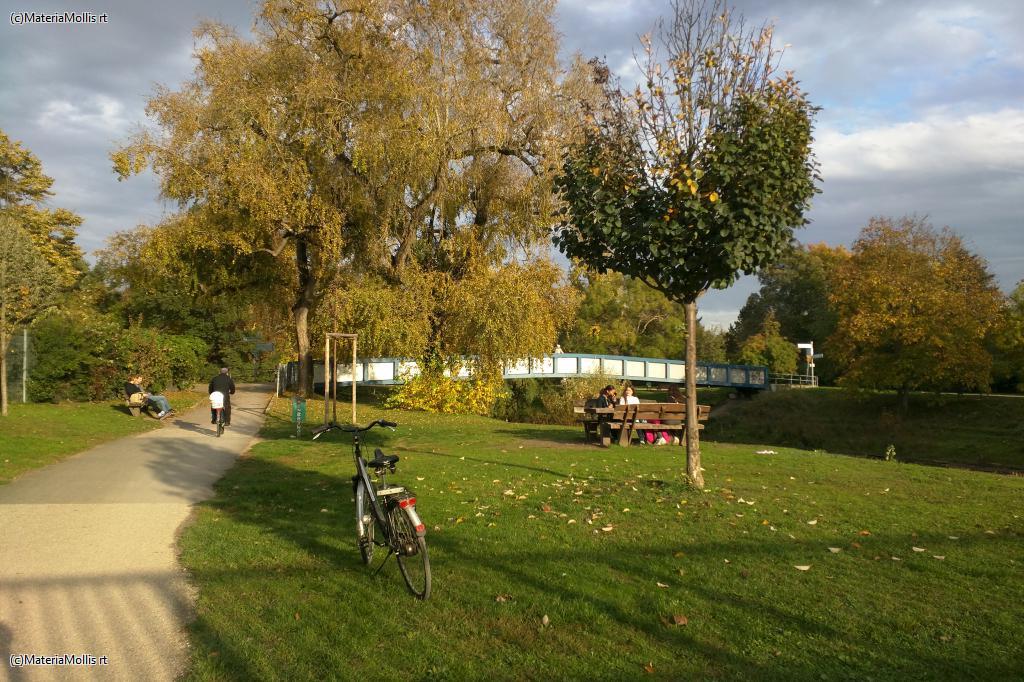 Ausflug Nidda(20201022)